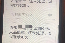 猇亭如何避免债务纠纷？专业追讨公司教您应对之策