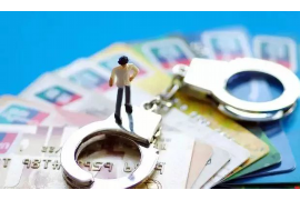 猇亭为什么选择专业追讨公司来处理您的债务纠纷？